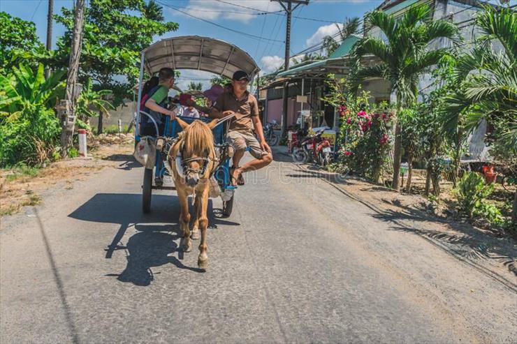 Wietnam-wieś - wiejski-wózek-konny-z-turystą-na-wietnamskiej-wsi-wietnam-mekong-delta-marca-r-182626321.jpg
