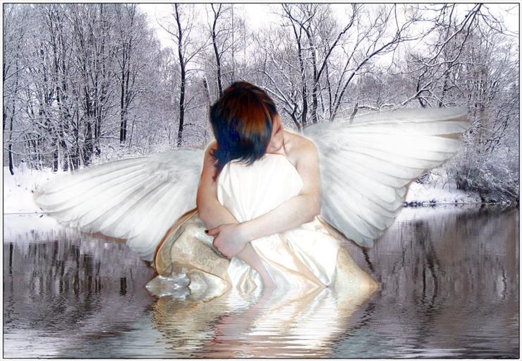 Galeria - Winter Angel.jpg