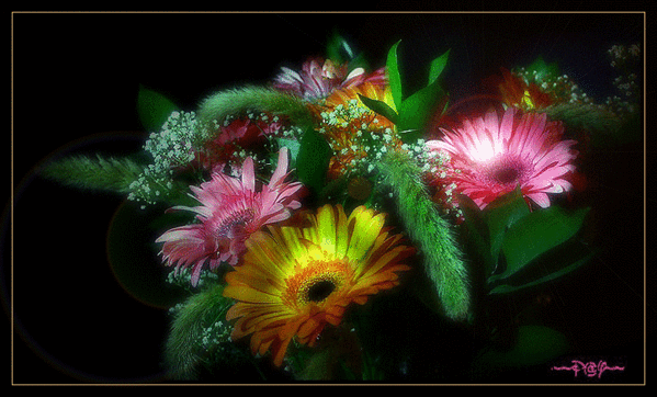 kwiaty - 64_flowers.gif