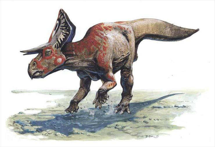 Dinozaury1 - zuniceratops.jpg