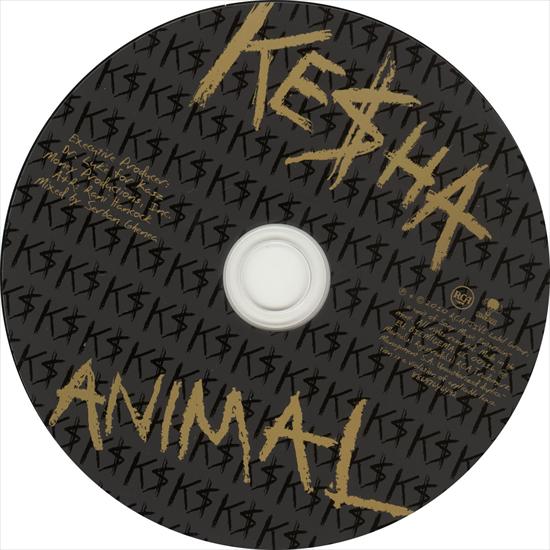 Animal 2010 - Keha - Animal disc.jpg