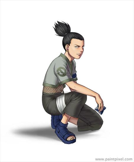 Shikamaru - shika.jpg