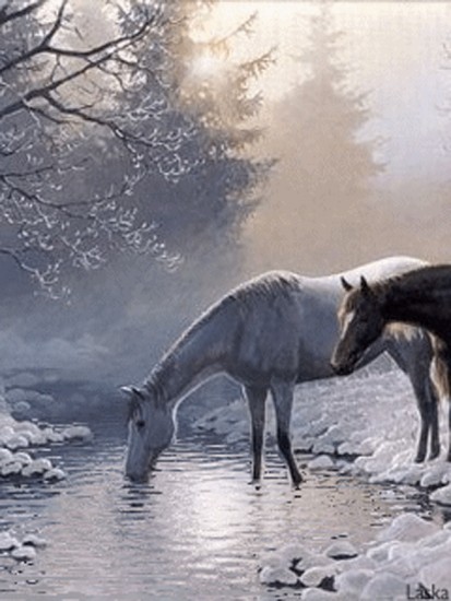 Konie  - zymni-new-year--sarbatori--horses--animals_large.jpg