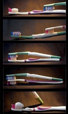 Tapety - Toothbrush_Sutra.jpg
