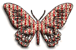 motyle - butterfly-125.gif