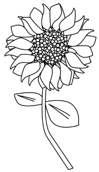 Stemple Magnolia - digitalcardmakingtuscany_sunflower.jpg