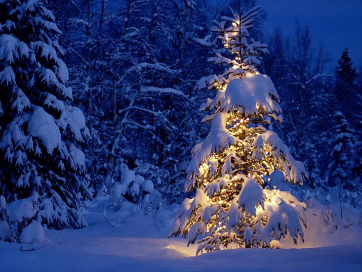 Obrazki na Boże Narodzenie - Christmas 75.jpg