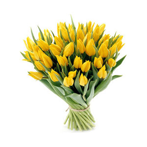 DZIEŃ KOBIET - tulipany34.jpg