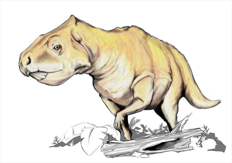 p - Prenoceratops_dinosaur.png