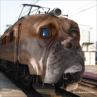 Rysiek24 - dog_train.jpg