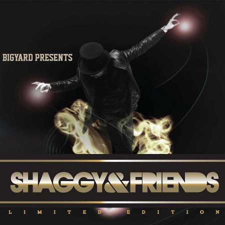 2011 - Shaggy  Friends - Shaggy  Friends ft.jpg