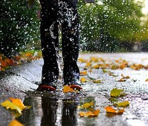 dracenka111 - autumn,beauty,happiness,jeans,leafs,leaves,legs,photo...,road,splash,water-2d7fcbe6a27d0fe4c9326f77fe3672b1_m.jpg