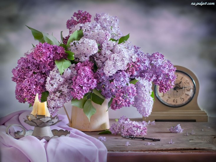 Lilak - kwiaty-bez-wazon.jpeg