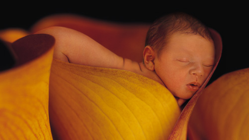 Anne Geddes - 20.jpg