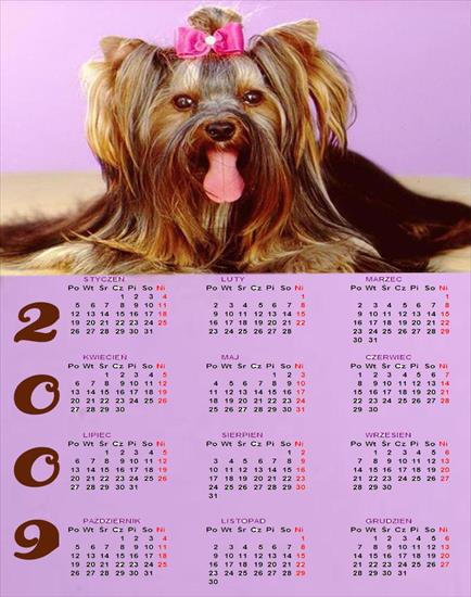 Kalendarze 2009 - piesek.jpg