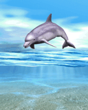 Animacje 128-160 - delfin01.gif