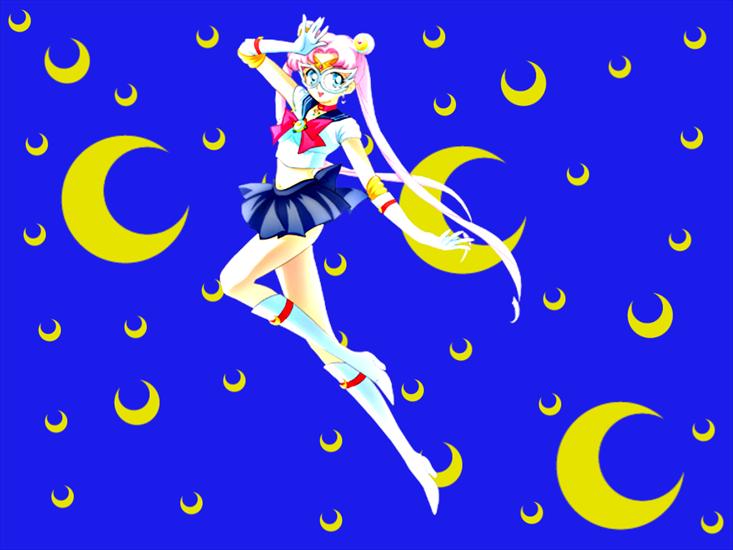 usagi - MWikiAK- sailor moon usagi 12.png