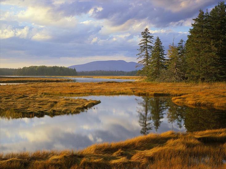 Webshots Premium Wallpapers - Bass Harbor Marsh, Acadia National Park, Maine.jpg