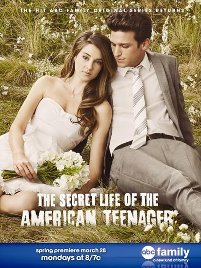 The Secret Life o... - The-Secret-Life-of-the-American-teenagerSecret-Life-Key-Art-3.2.11.jpg