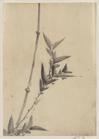 K Hokusai - Bamboo shoots.jpg