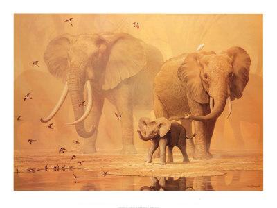 Elephants - 95.jpg