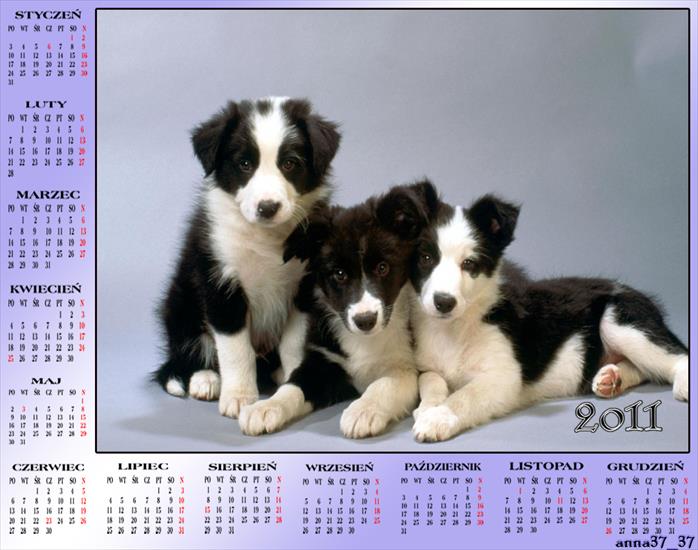 Kalendarze 2011 - anna37_37 101.png