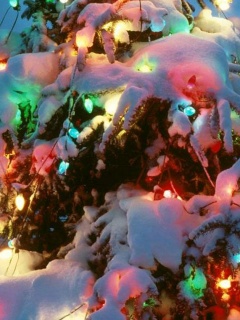 Boże Narodzenie - Tree.jpg