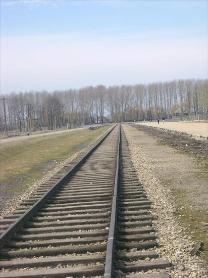 Auschwitz-Birkenau Birkenau - 3729.JPG