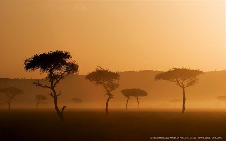 Galeria - Sunset in Massai Mara.jpg