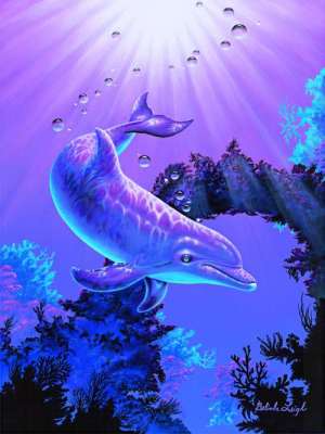 Delfiny i Orki - super01.jpg