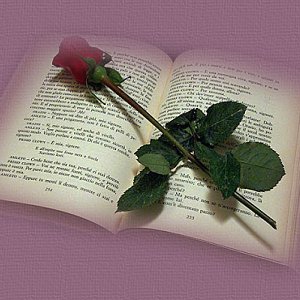 Roze beti0110 - romance_novel.jpg