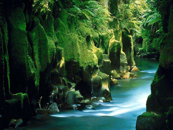 tapety - Te_Whaiti-Nui-A-Toi_Canyon,_Whirinaki_Forest_North_Island_New_Zealand.jpg