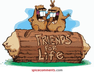 Przyjaciele - 00102.gif