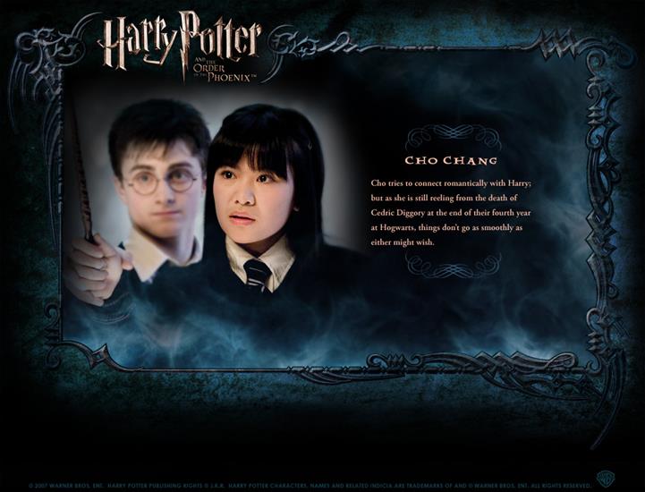 Character Profile - Character-Profile-harry-potter-130059_1050_800.jpg