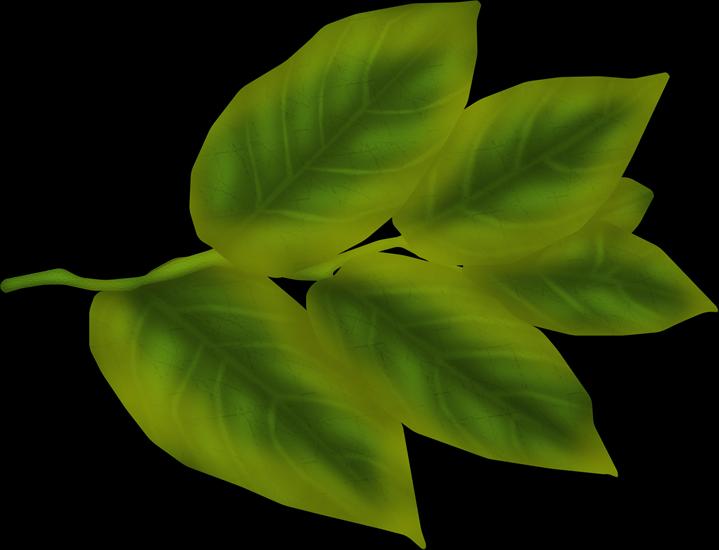 roślinność - SNASPPY A10.PNG
