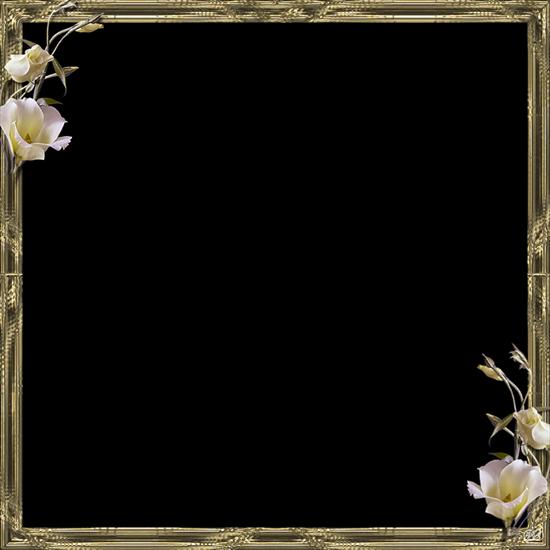 RAMKI - frame goldenflower.png