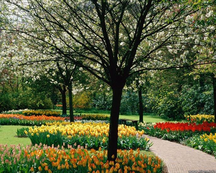 Widoki - keukenhof_holland.jpg