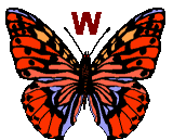 Motyle - butterfly-w-letter.gif