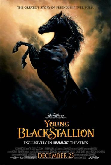 Czarny rumak Young Black Stallion, The.Lektor pl avi - 6942304.3.jpg
