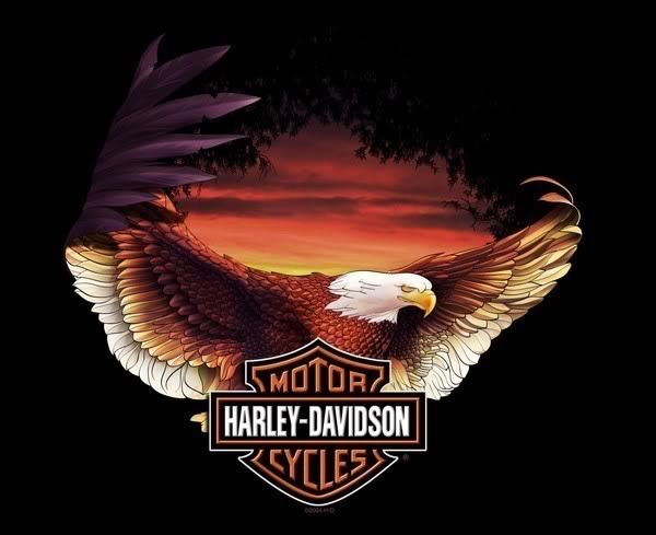 Harley Davidson - harley15.jpg