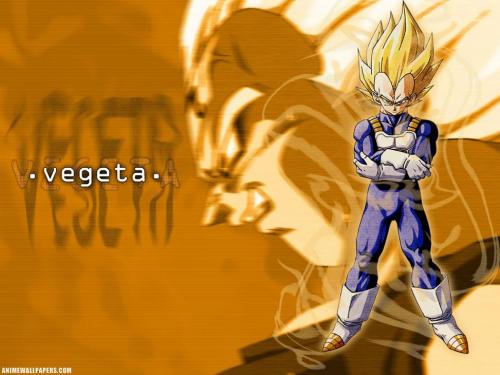 dragon ball z - vegeta.jpg