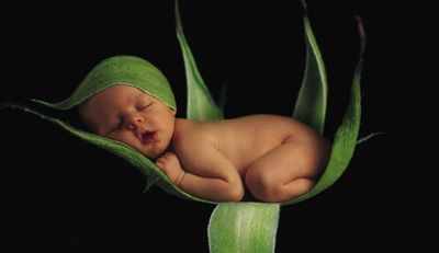 Dzieci Anne Geddes - 1117.jpg