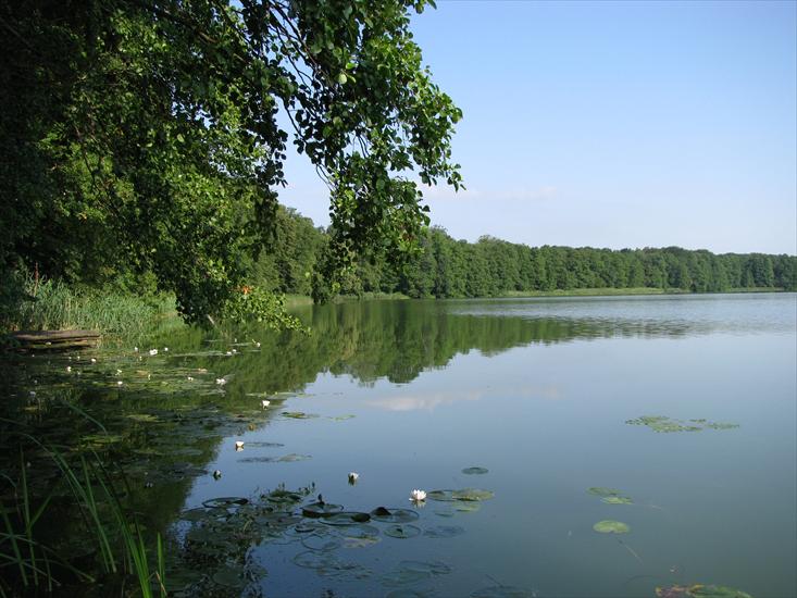 Jezioro w Lubrzy - 7.JPG