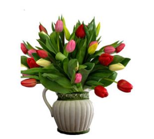 tulipany - tulipany1.jpg