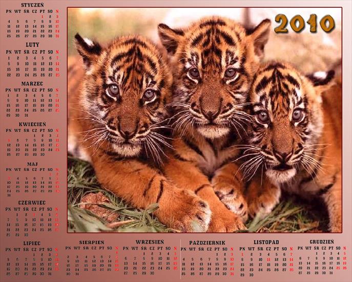 Kalendarze 2010 - Kalendarz 201022.jpg