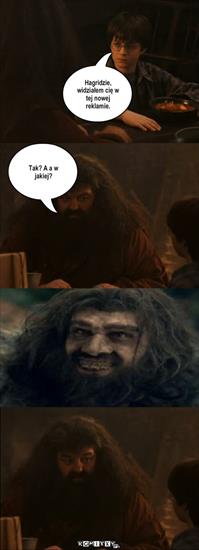 Komiksy - Hagrid.jpg