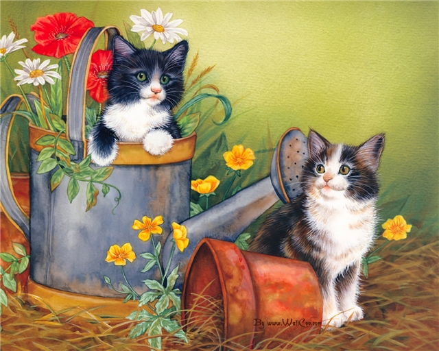 Koty i kwiaty - cats_pictures26.jpg