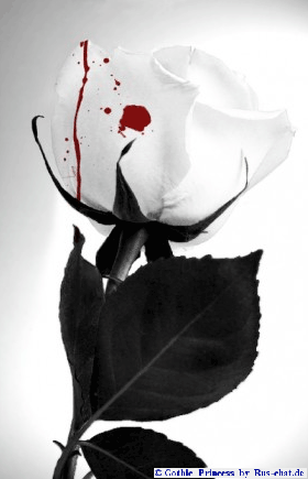 mroczne i magiczne - white-gothic-rose.gif