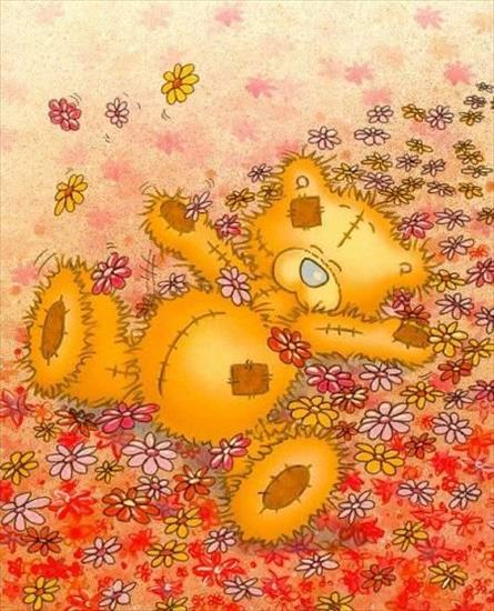 Misiaki - Tatty Teddy wśród kwiatów.jpg
