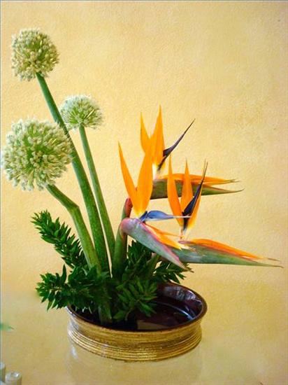 KWIATY UKŁADANIE - ikebana 37.jpg